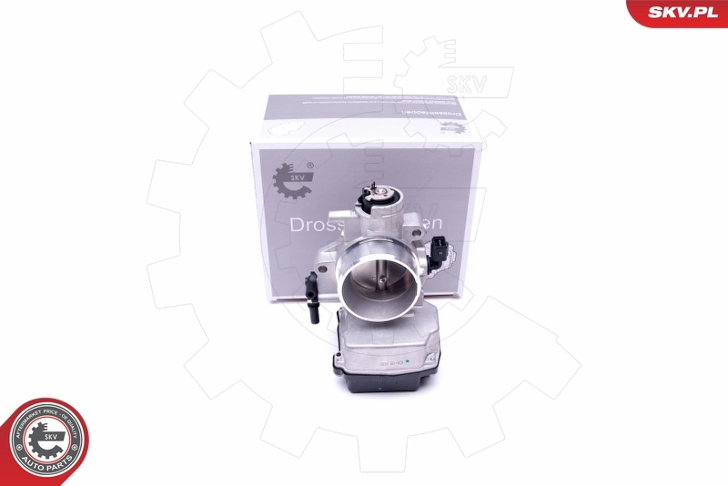 Throttle Body